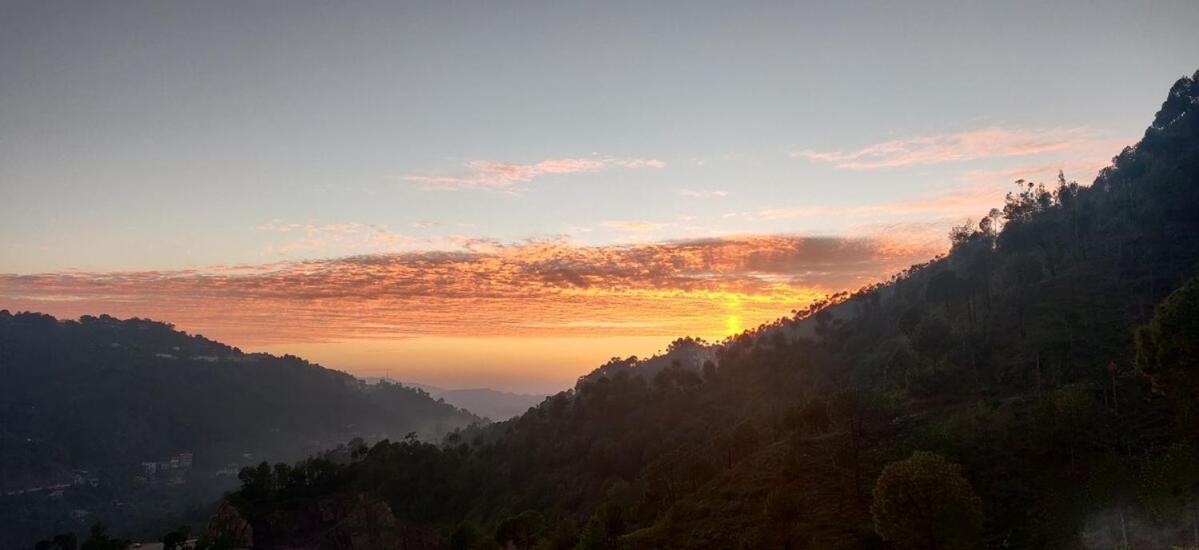 2BHK Furnished Apartment/Near Kasauli/Barog/Luv Fun&Adventure Solan Exterior foto